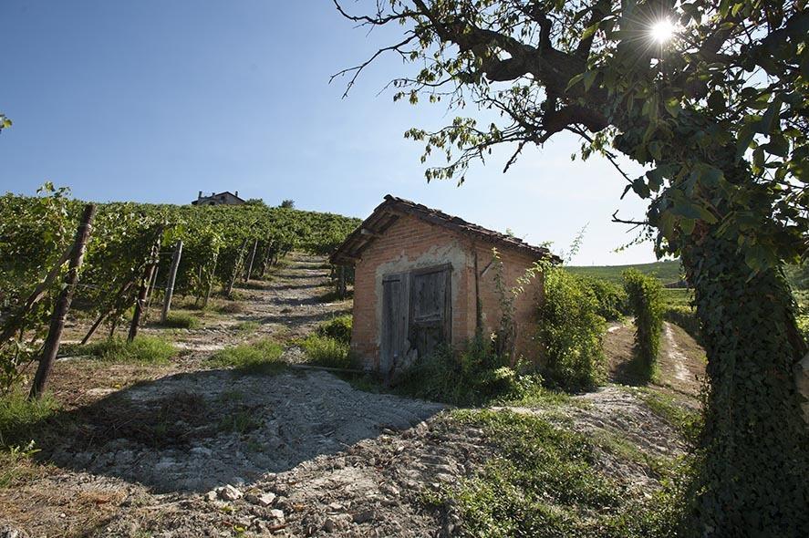 Cascina Ballarin Villa La Morra Exterior photo